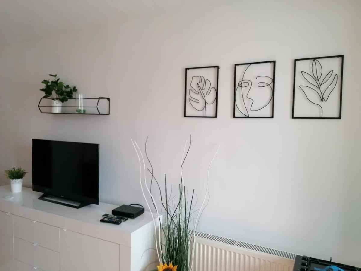Nexus Studio Deluxe Miercurea Ciuc Εξωτερικό φωτογραφία